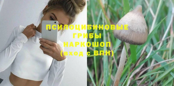 spice Няндома