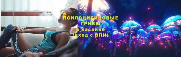 трава Нязепетровск