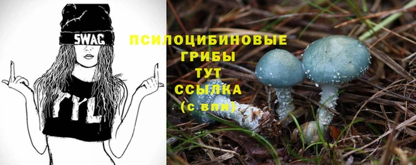трава Нязепетровск