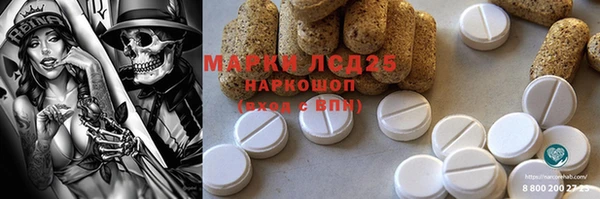 spice Няндома
