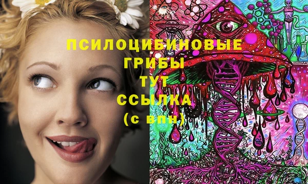 spice Няндома