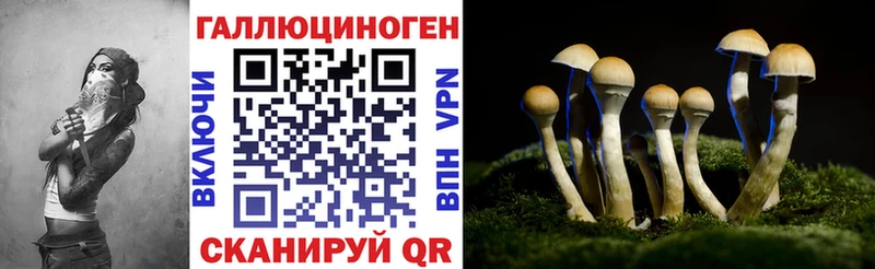 сколько стоит  Сергач  Галлюциногенные грибы Magic Shrooms 